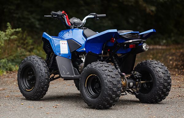 Hovedbilde Linhai 110cc Barne- og ungdomsmodell! Premium ...